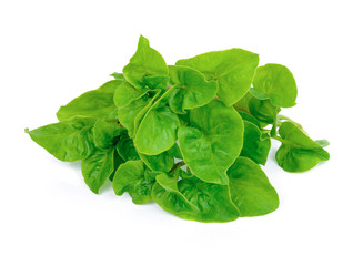 fresh watercress isolated on white background