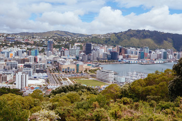 Fototapeta premium Wellington Skyline in New Zealand