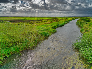 Skjern enge meadows flood delta in Denmark