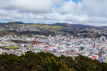 Fototapeta na wymiar Wellington Skyline in New Zealand