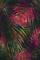 abstract colorful palm tree background  - 373271828
