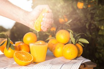 male hand squeezes juice from half orange into glass on table in garden
