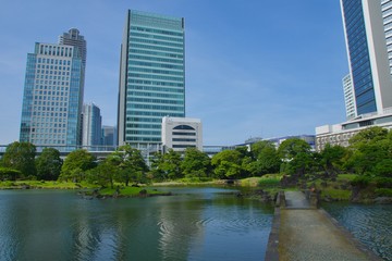 旧芝離宮恩賜庭園　中島への石橋と広がる波紋
