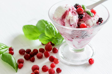 Cranberries and rasberries ice cream in the glass bowl, fresh aromatic leaves of basil on the white background. Fruit ice cream eating.