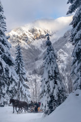 Tatry