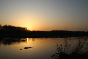 Obraz na płótnie Canvas Erftauen bei Sonnenuntergang im Frühjahr