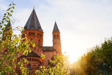 The high cathedral "St. Martin zu Mainz", called "Mainzer Dom".