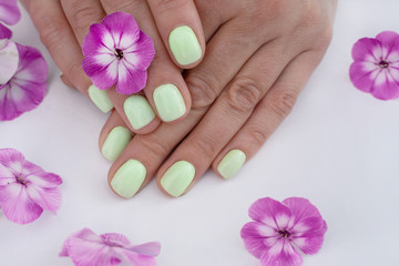 Obraz na płótnie Canvas well-groomed, manicured acryl fingers in pastel green colors of the hand lie with pink flowers 