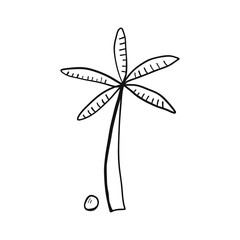 Palm tree in doodle style