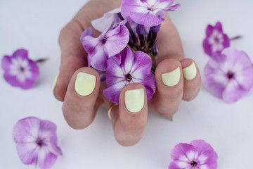 well-groomed, manicured fingers in yellow colors of the hand holds purple flowers