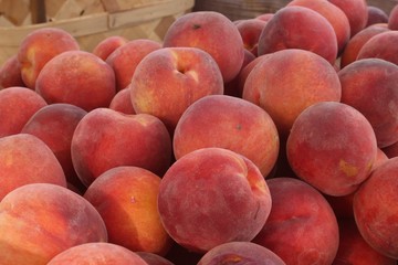 A basket of peaches set up at a farmer's market