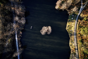 Aerial drone view of trees in autumn. Street crossing the forest with long evening sun shadows. Beautiful top view. Green and Brown tones.