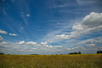 Fototapeta na wymiar Summer sky over the Russian field.
