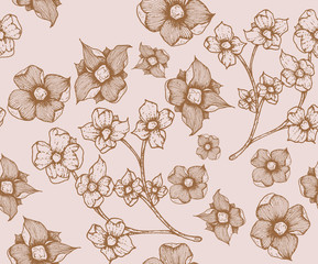 Paper texture background, real cardboard pattern