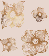 Paper texture background, real cardboard pattern