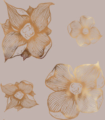 Paper texture background, real cardboard pattern