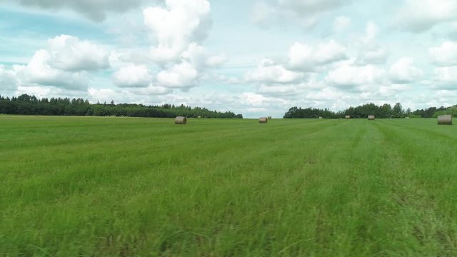 Green juicy fields with haystacks. Shot. Beautiful twisted haystacks on cleared green field on background cloudy sky. Cleaning of field. Rural landscape