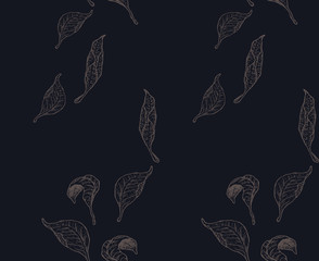 Paper texture background, real cardboard pattern