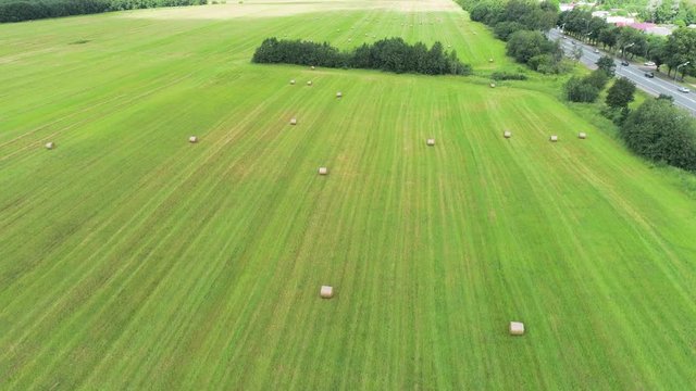 Top view of green cleared field with haystacks. Shot. Large green field with round haystacks. Beautiful harvested fields for hay in countryside. Concept of agriculture