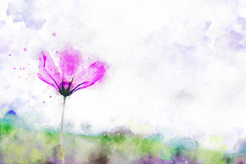Pink cosmos flower with green hill background, digital watercolor painting - obrazy, fototapety, plakaty