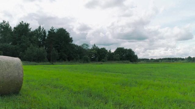 Green juicy fields with haystacks. Shot. Beautiful twisted haystacks on cleared green field on background cloudy sky. Cleaning of field. Rural landscape