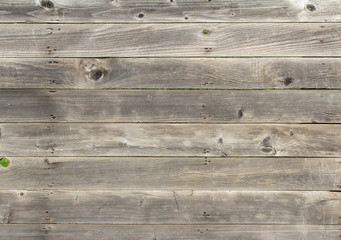 Wooden background.Rustic wooden fence with slits and nails.Natural grey color