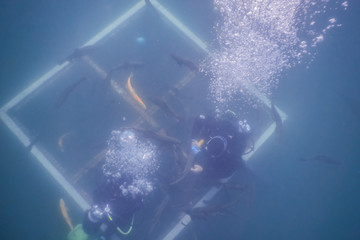 Fototapeta na wymiar platform with divers and air bubbles in a lake