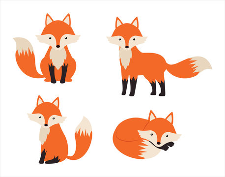 Cute fox cartoon set isolated on white background - Vector illustration