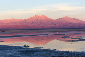 Obraz premium Chaxa lagoon at sunset