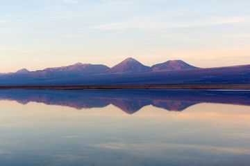 Chaxa lagoon at sunset