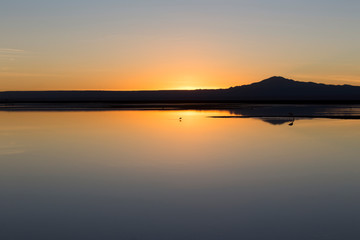 Chaxa lagoon at sunset