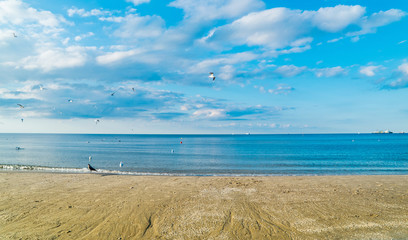 Fototapeta na wymiar Möwen am Strand des polnischen Seebad Swinemünde. Seagulls on the beach of the Polish seaside resort of Świnoujście 