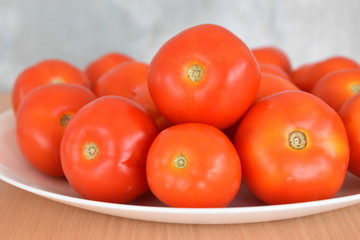 red tomatoes on a vine