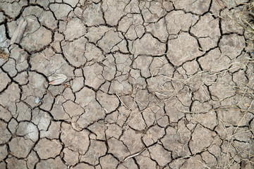 Dry soil or cracked ground texture background