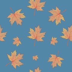 Naklejka na ściany i meble Maple leaves in Autumn season with seamless pattern and blue background.