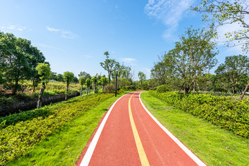 road in park