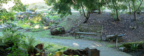 Bench in botanic garden road