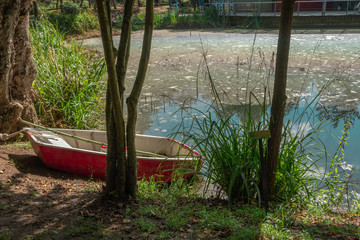 Boat in the botanic garden lake
