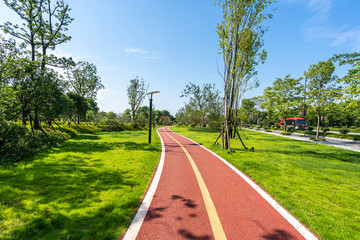 road in park