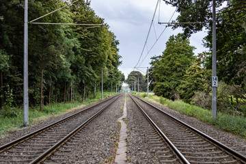 Fototapeta premium railroad tracks in a countryside surroundes by trees, electrical overhead line