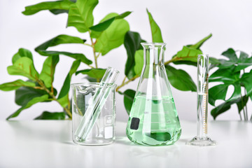 Natural drug research, Plant extraction in scientific glassware, Alternative green herb medicine,...