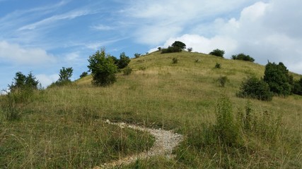 Path up a path following the mountain