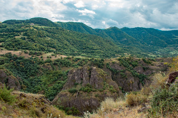 Fototapeta na wymiar forest landscape in the mountains