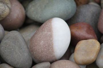 Piedras de playa, una es mitad blanca, mitad marrón.