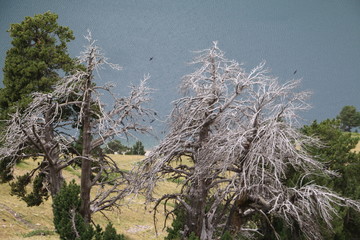 Vue sur le lac de l'oule