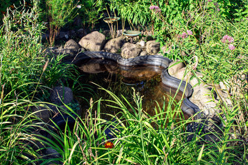beautiful garden pond among wild plants
