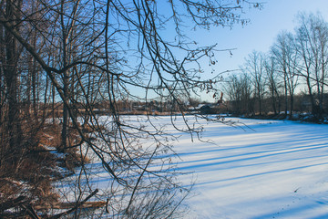 winter landscape with trees and snow