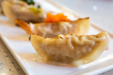 Close-up gyoza on a plate in the restaurant.