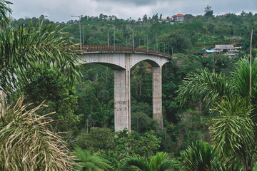 Large concrete bridge for cars among jungle and palm trees