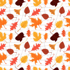 Vector seamless pattern with colorful autumn bright leaves isolated on white background. Design for web page background, autumn greeting cards, wallpaper, gift paper, pattern fills etc.